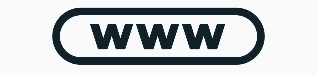 Website profesional în 2024