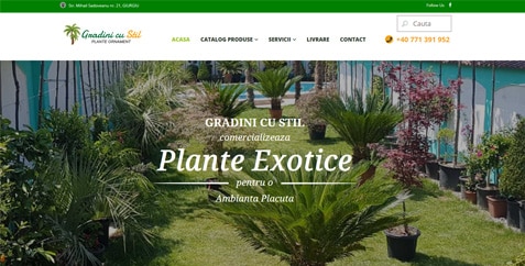 plante-ornament.jpg