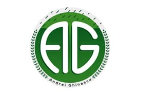 Web Design Giurgiu 210 asiguraribelgia-1