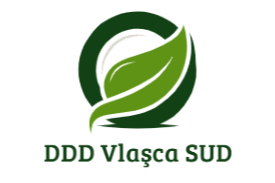 ddd vlasca 1